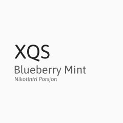 XQS Blueberry Mint (50mg)