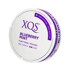 XQS - Blueberry Mint (50mg Koffein)